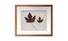 กรอบรูป-ใส่ใบไม้ในกรอบไม้สักกระจกสองด้านโชว์หน้าหลัง